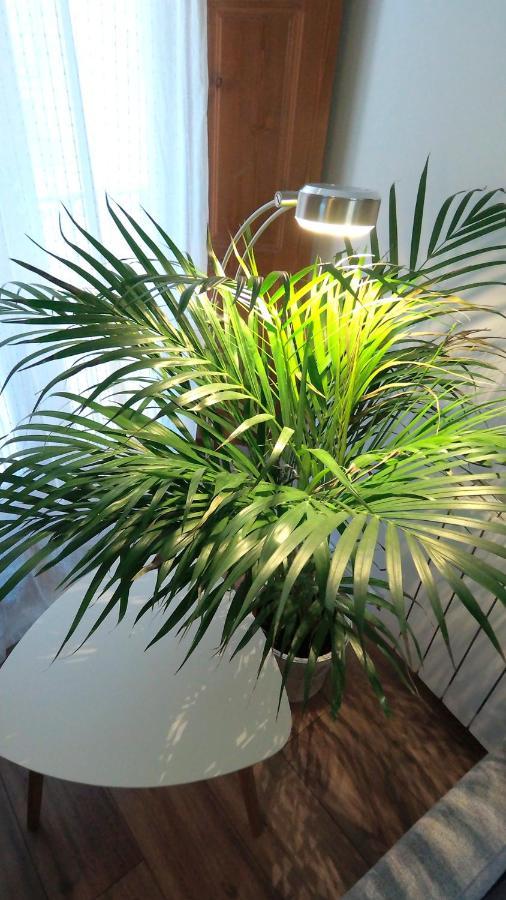 Apartamentos El Pozo Amargo 托萊多 外观 照片